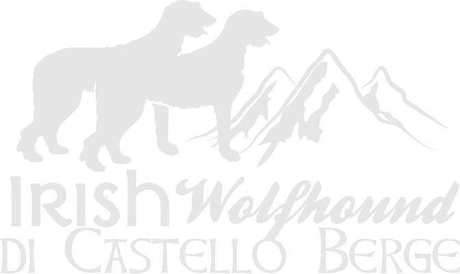 irish-wolfhound-di-castello-berge logo